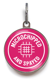 Pink microchipped and spayed dog ID tag with chip icon