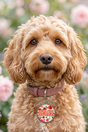 Happy dog wearing personalised Poppy pet name tag with floral design in outdoor setting