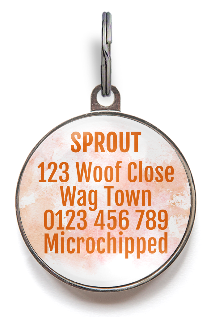 Back of pretty pumpkin pet tag