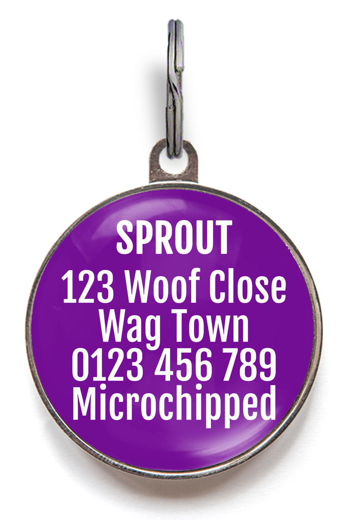 Back of Jelly Bean Pet Tag fits up to 5 lines of important information