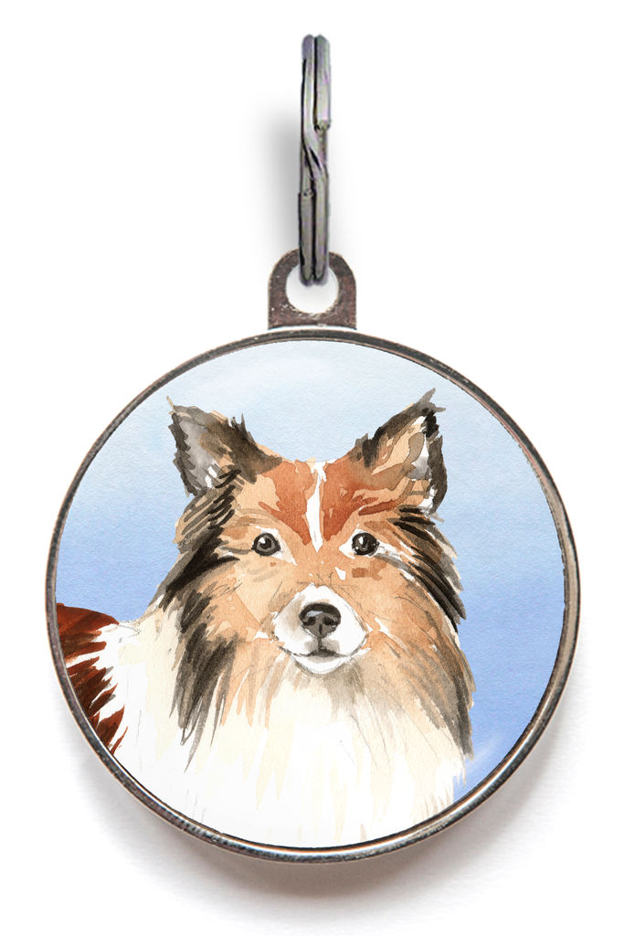 Shetland Sheepdog Dog Tag - Blue