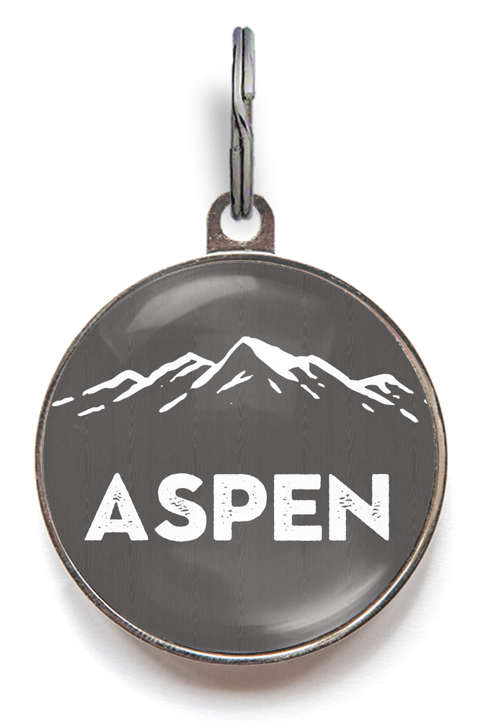 Custom snowy mountain dog tag with pet name – aspen-style ID tag for adventurous cats and dogs