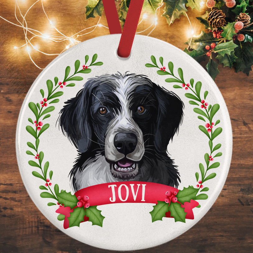 Sprollie Christmas Decoration