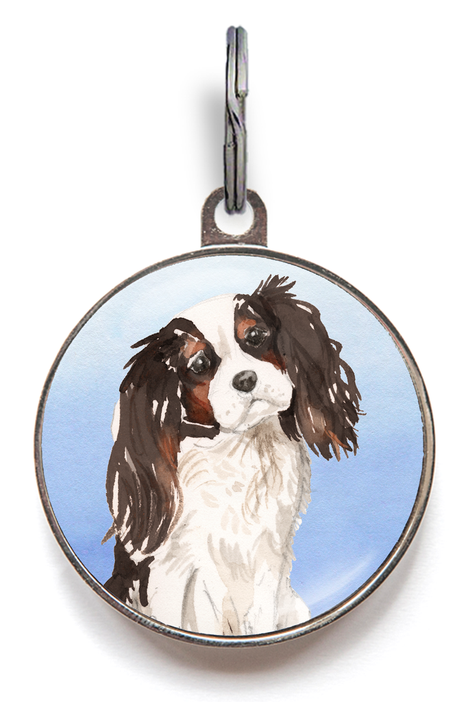 Tri Colour King Charles Spaniel Dog Tag - Blue