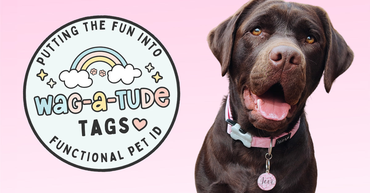 Wag Tag Funny Dog Tags, Custom & Medical Dog Tags - Wag-A-Tude Tags