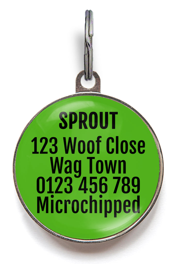Back of wicked cute halloween pet tag