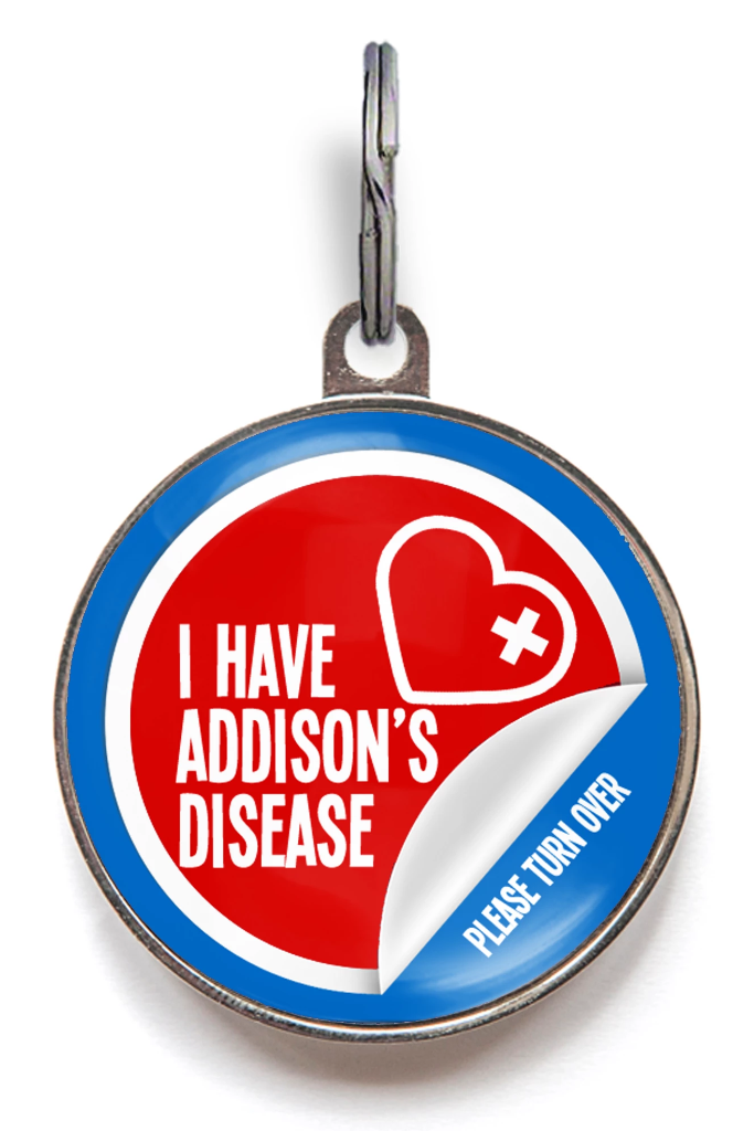 Addison's Disease Dog ID Tag. Features a red and white sticker look on a blue background and features the words "I have Addisons Disease" and the instruction to "please turn over" where you can add further medical details for your pet.