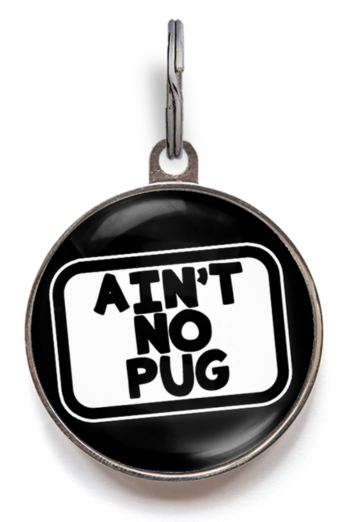 Funny dog clearance tag sayings