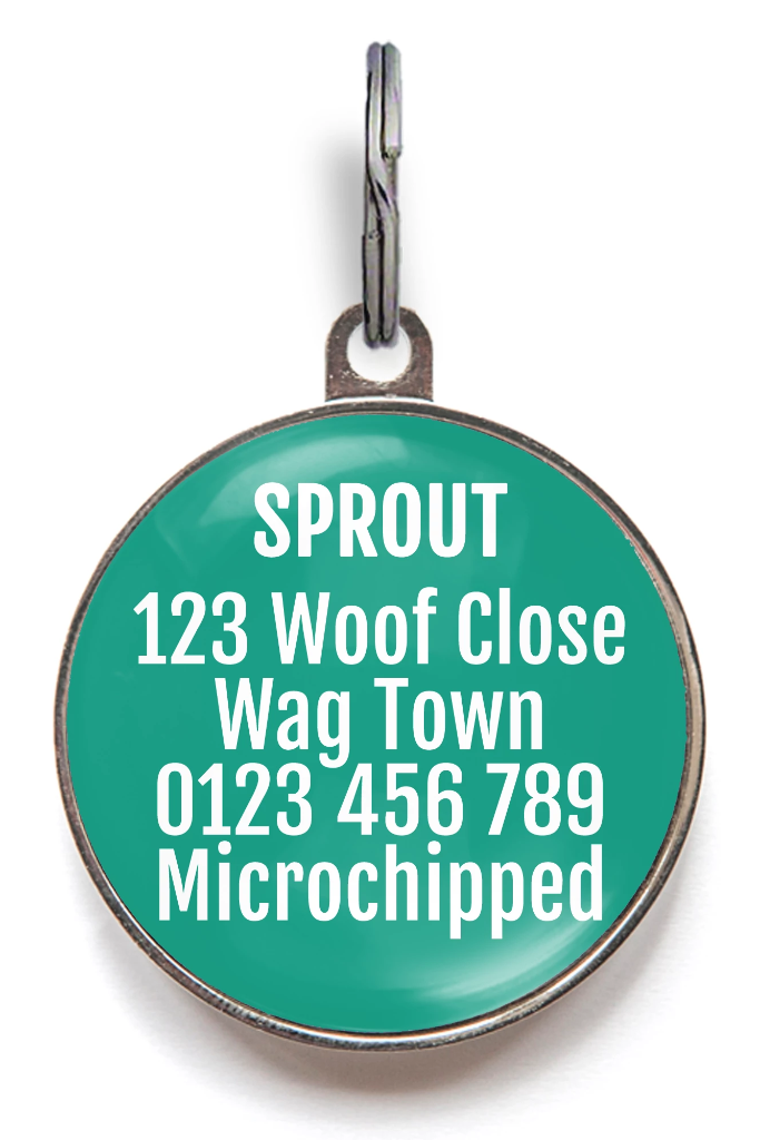 Back of sangria dog tag - can be personalised with up to 5 lines of text