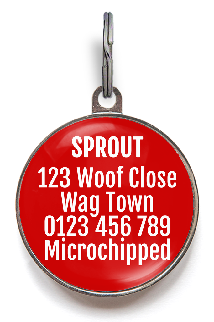 Personalised back of Allergies, Do Not Feed Pet ID Tag