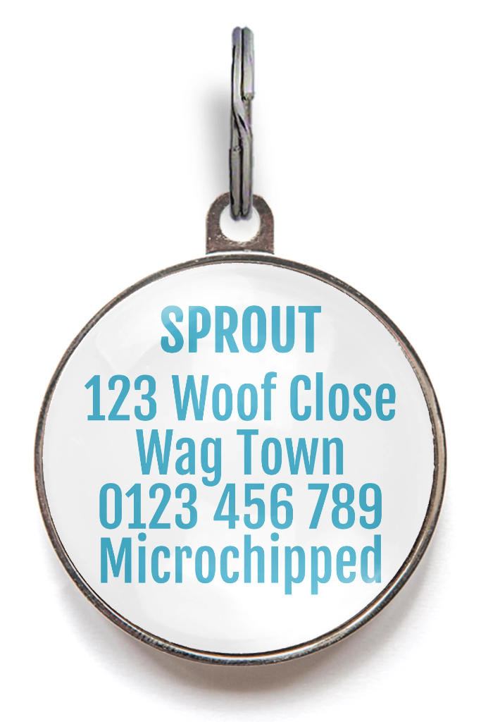 Blue & Green Stripe Dog ID Tag