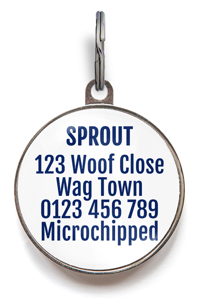 Baseball Dog Tag Back