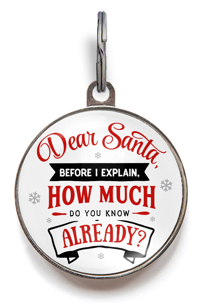 Dear Santa, How Much Do You Know Already? Holiday Pet Tag