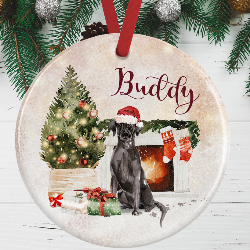 Black labrador best sale christmas