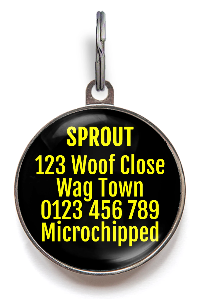 Peace, Love & Happiness Pet Tag