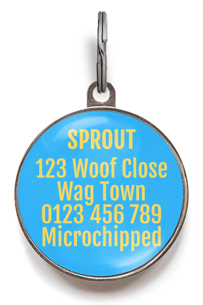 Cute As A Cupcake Pet Tag - Blue