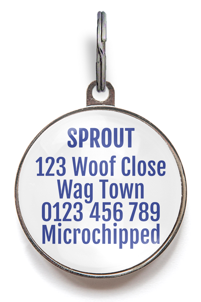 Blue, Purple and Orange Plaid Pet Tag