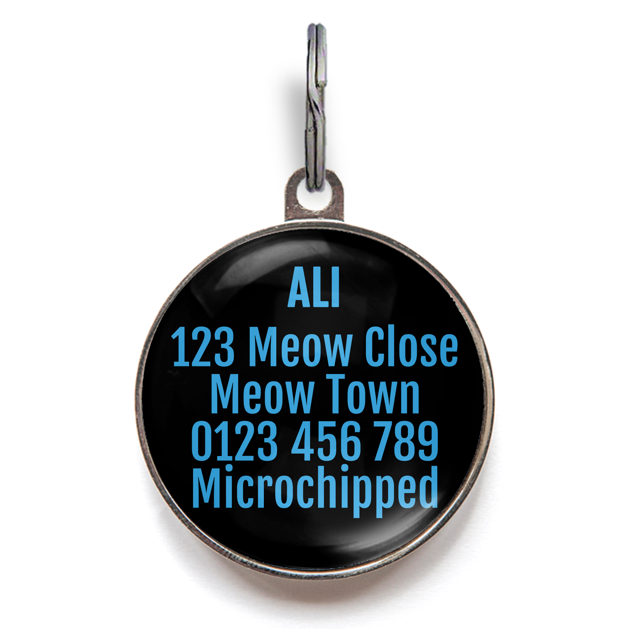 Blue Pirate Kitty Cat Tag