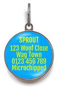 Blue Sunburst Dog ID Tag