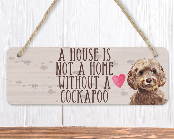 Cockapoo in best sale not