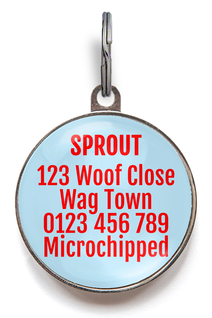 Summer Lovin' Pet Tag