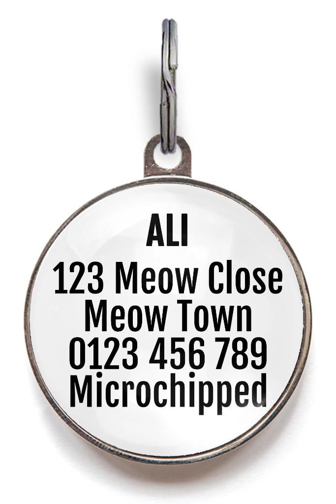Bird Watching Cat ID Tag