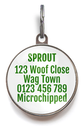 Santa! I Know Him! Christmas Pet Tag