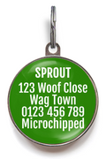 Christmas Tree Dog Bone Dog ID Tag