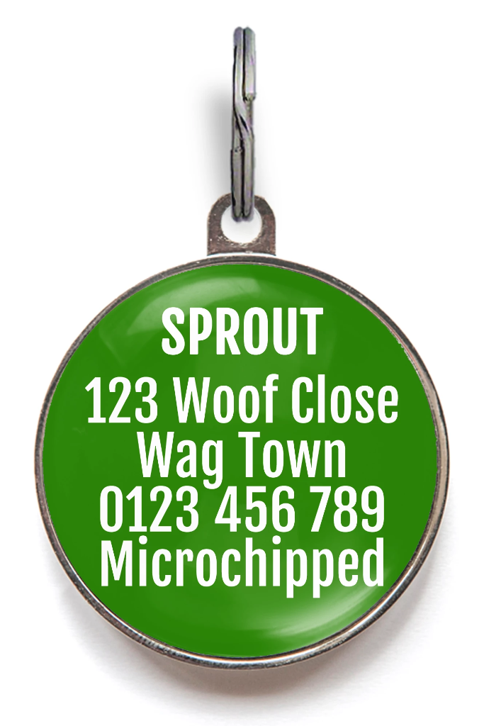 Dear Santa Dog ID Tag