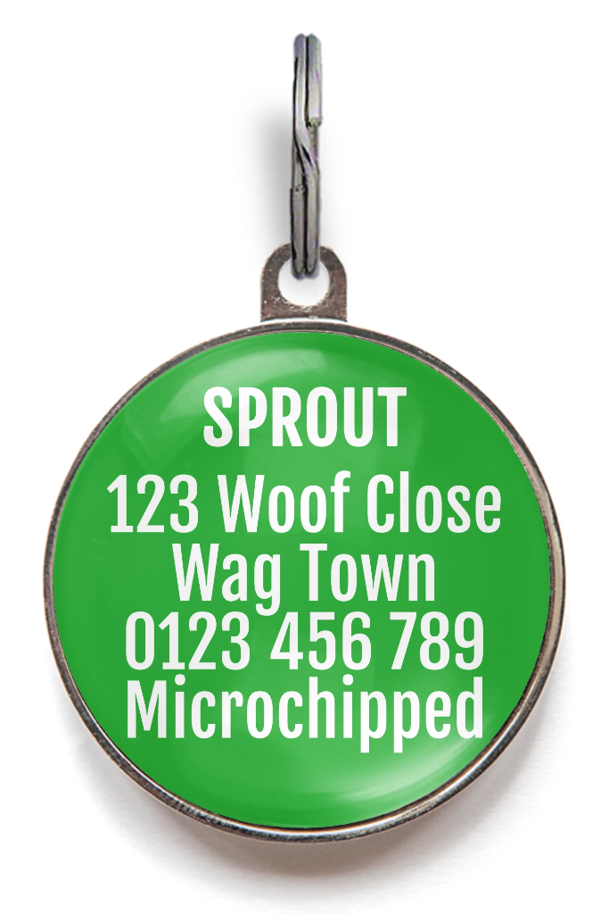 Lucky Clover Dog ID Tag