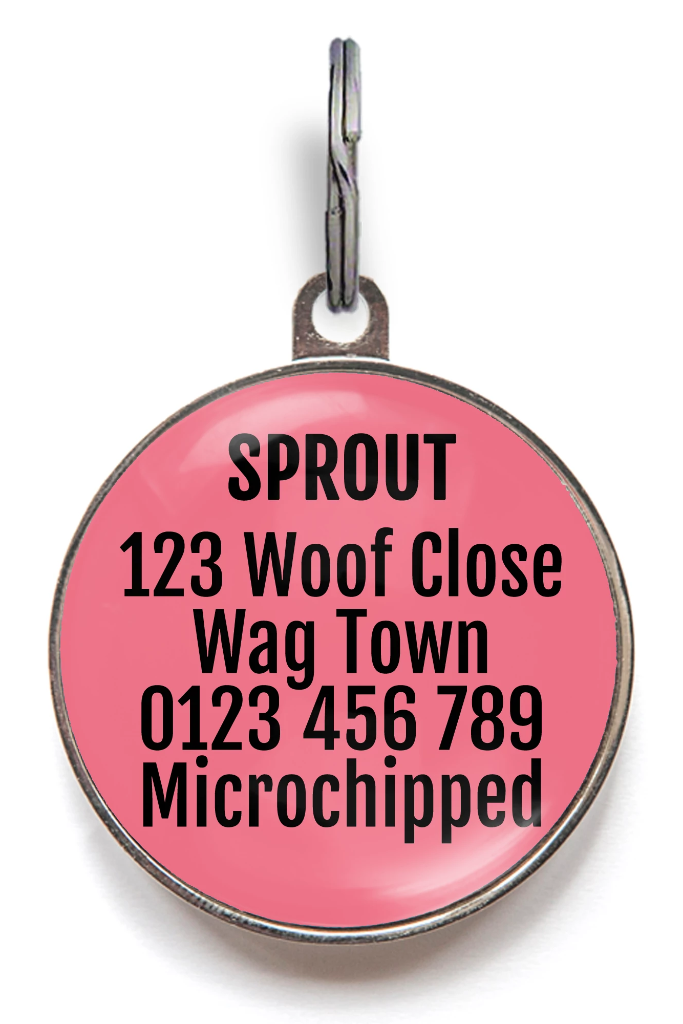 Classy Bitch Dog ID Tag