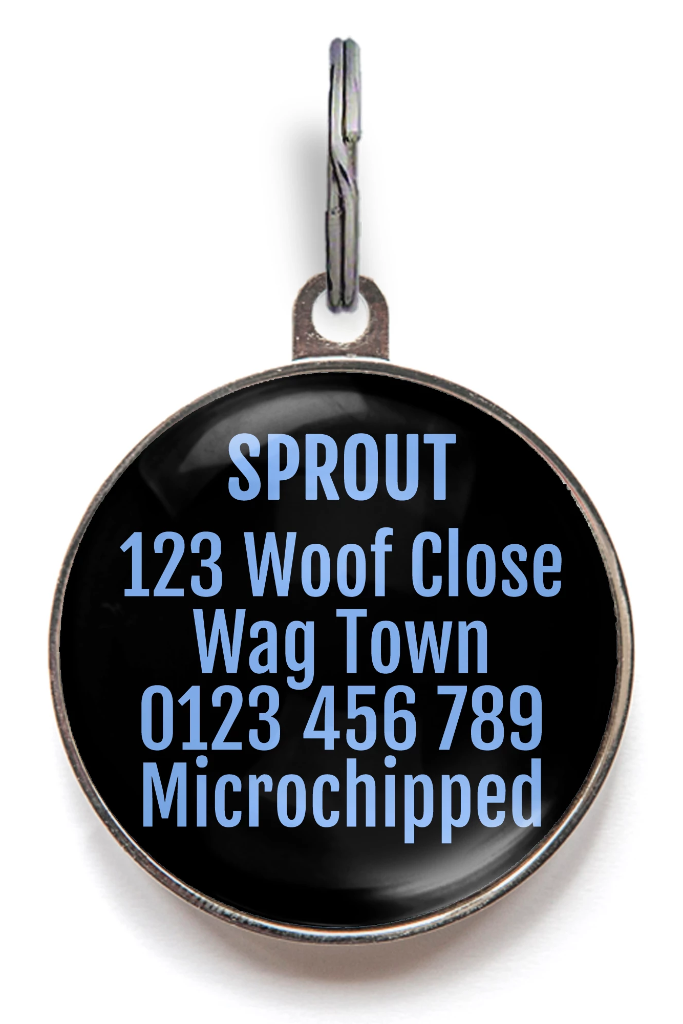 Cosmic Pet ID Tag