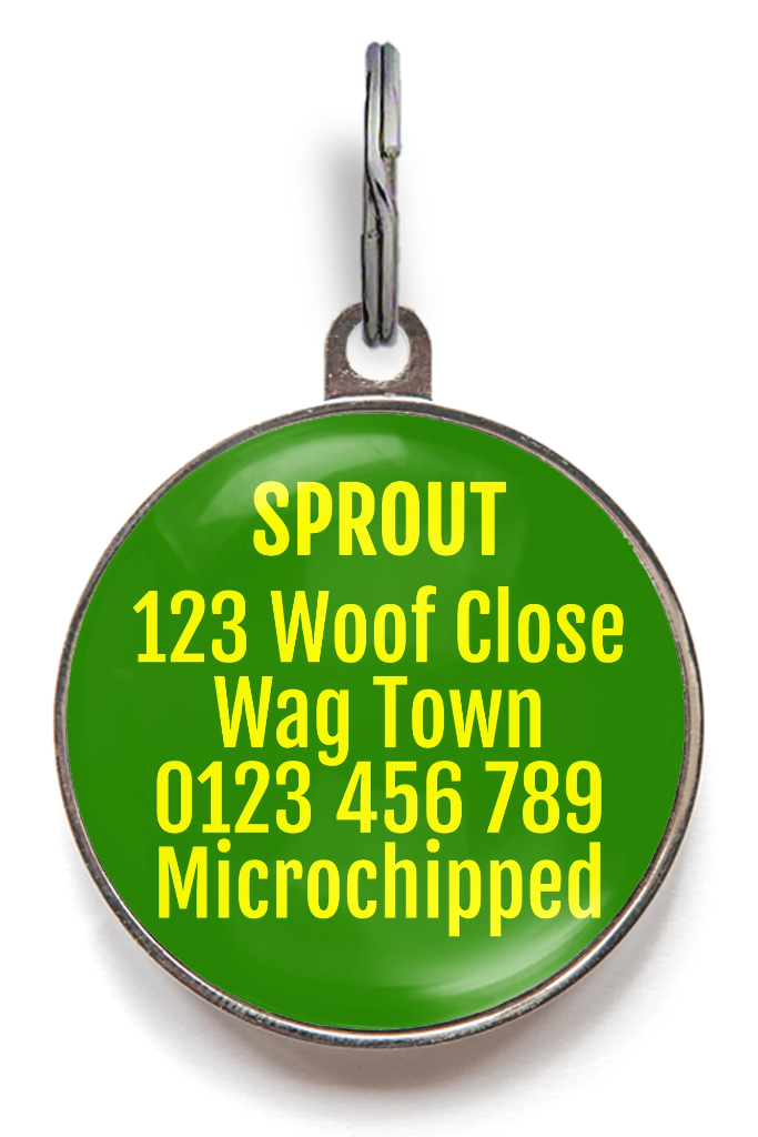 Cotton Headed Ninny Muggins, Elf Pet Tag