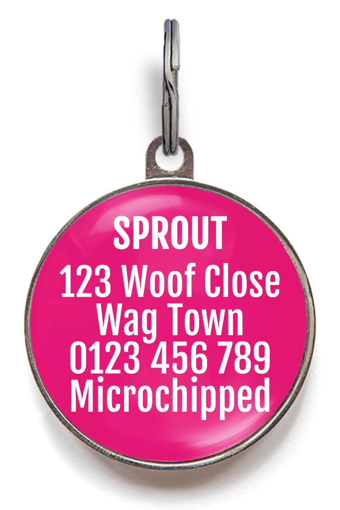 Hollywood Diva Pet Tag