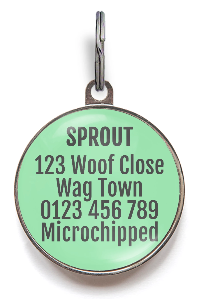 Daisy Love Pet ID Tag