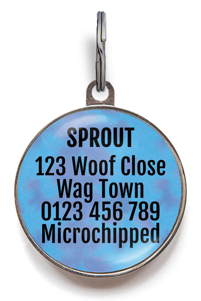Dog name tag maker 2025