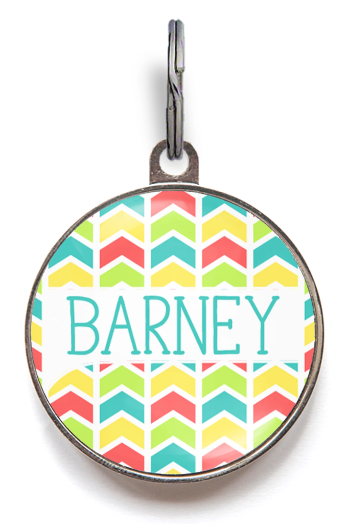 Geo Colour Dog Name Tag