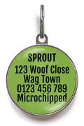 Hang Out With My Wang Out Pet Tag