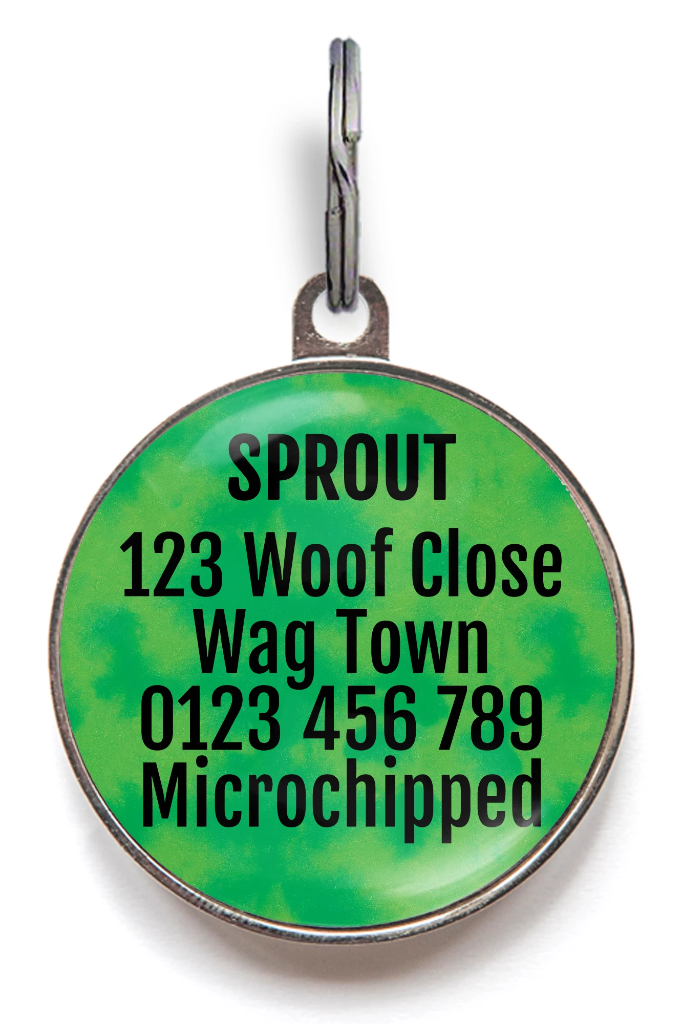 Village Idiot Pet Tag