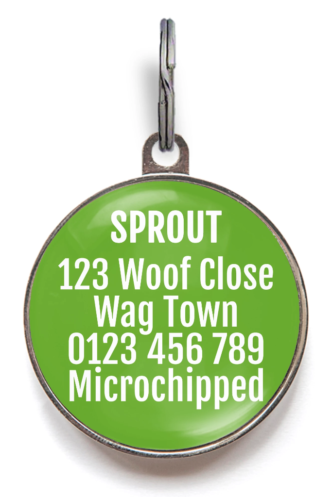 Green Little Monster Pet Tag