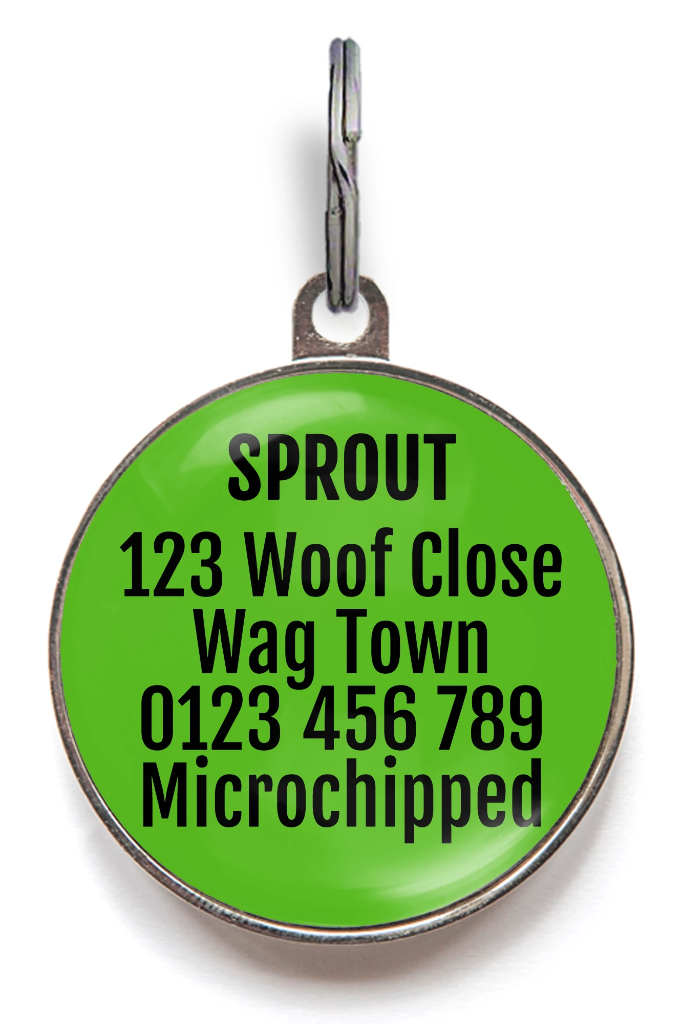 Boo-Bees Halloween Dog Tags