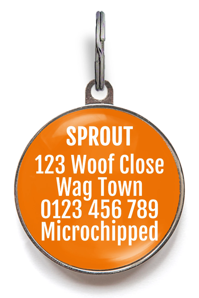 Boo Crew Halloween Dog Tags