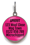 Funny Dog Tag - Too Pretty To Work