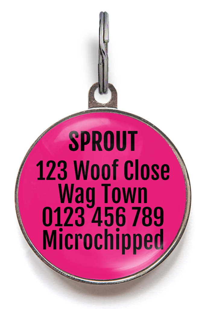 Lucky Girl Pet ID Tag