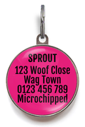 Lucky Girl Pet ID Tag