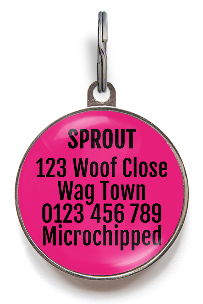 Back of margarita dog tag - can be personalised with upto  5 lines of text