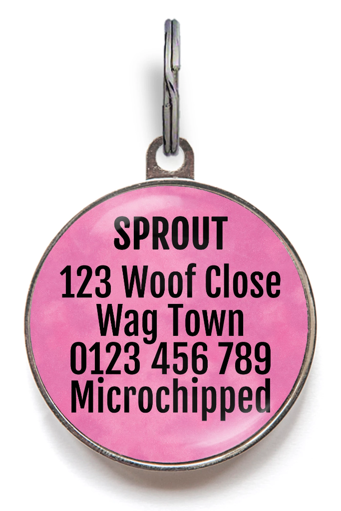 Queen Of Farts Dog ID Tag