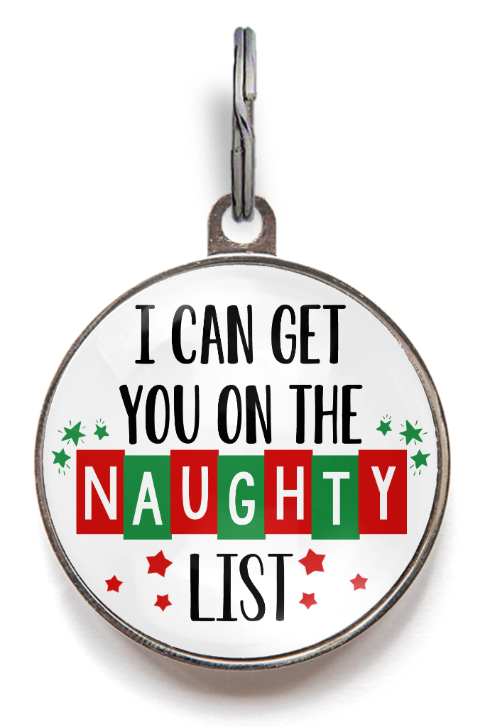 I Can Get You On The Naughty List Christmas Dog Tag
