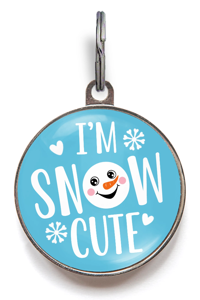 Cute store dog tag