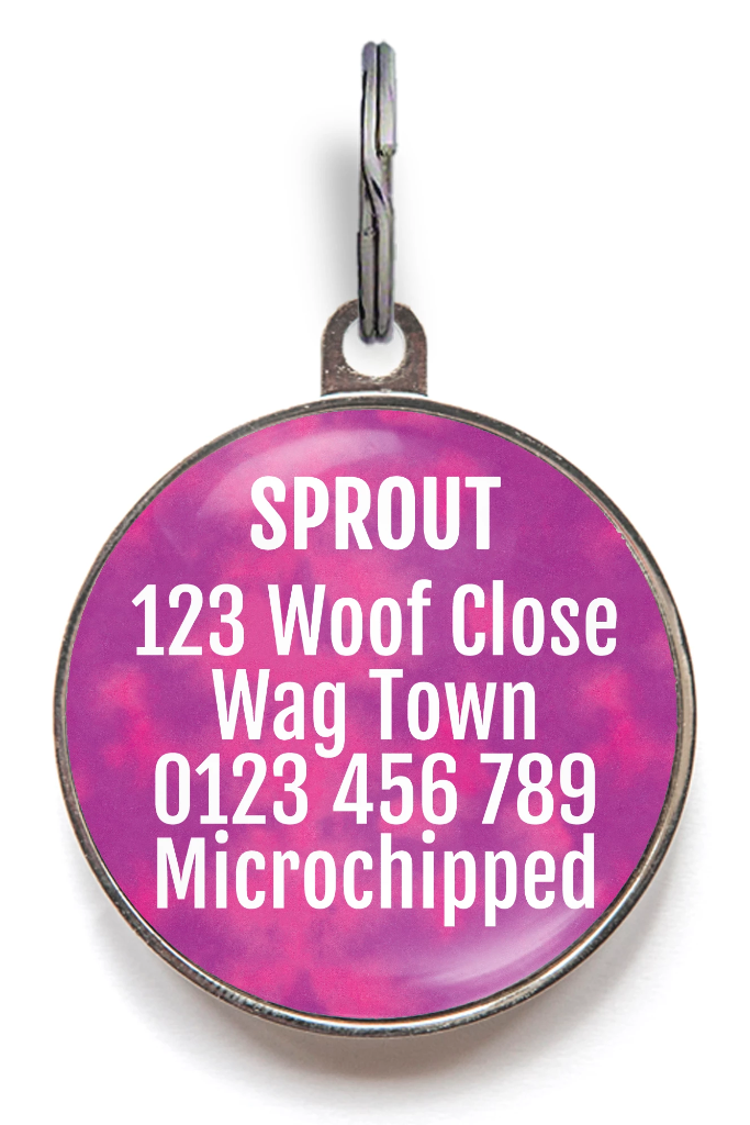 I'm Why We Can't Have Nice Things Pet Tag